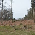 zdjęcie nr 30