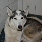 zdjęcie nr 7