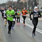zdjęcie nr 43