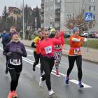 zdjęcie nr 51