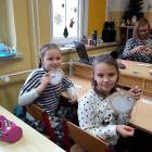 zdjęcie nr 12