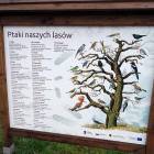 zdjęcie nr 20