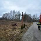 zdjęcie nr 18