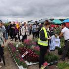 Fotka nr 0 z 28