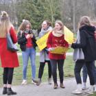 zdjęcie nr 7