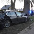 zdjęcie nr 13
