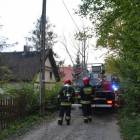 zdjęcie nr 16
