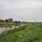 fot. nadesłane