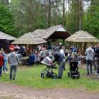 zdjęcie nr 55