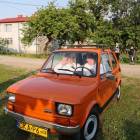 zdjęcie nr 26