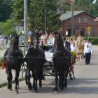 zdjęcie nr 8