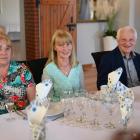 zdjęcie nr 17