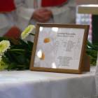 zdjęcie nr 24