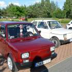 zdjęcie nr 71