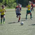 Fotka nr 1 z 11