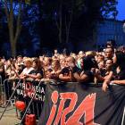 zdjęcie nr 53
