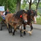 zdjęcie nr 8