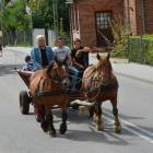 zdjęcie nr 66