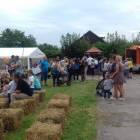 fot. nadesłane