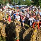 zdjęcie nr 100