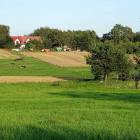 zdjęcie nr 16