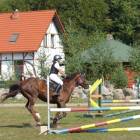 zdjęcie nr 126