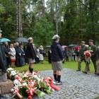 zdjęcie nr 39