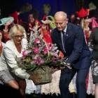 zdjęcie nr 15