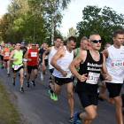 zdjęcie nr 26