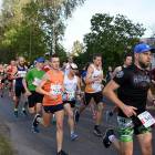 zdjęcie nr 29