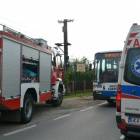zdjęcie nr 7