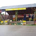 fot. nadesłane