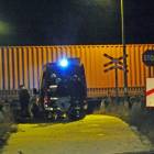zdjęcie nr 14