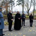 zdjęcie nr 7