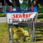 zdjęcie nr 10