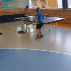 Fotka nr 4 z 5