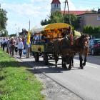 zdjęcie nr 12