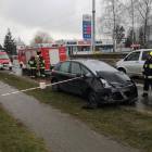 Fotka nr 2 z 4