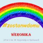 zdjęcie nr 35