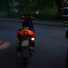 Fotka nr 5 z 8