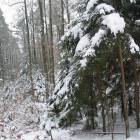 zdjęcie nr 14