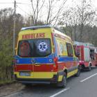 zdjęcie nr 12