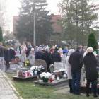 zdjęcie nr 8