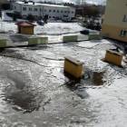 zdjęcie nr 8