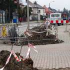 zdjęcie nr 7