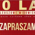 fot. internet/www.cyrk-zalewski.com.pl
