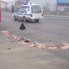 zdjęcie nr 9
