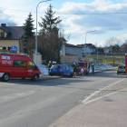 Fotka nr 4 z 18