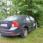 Fotka nr 3 z 23