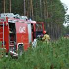 zdjęcie nr 36